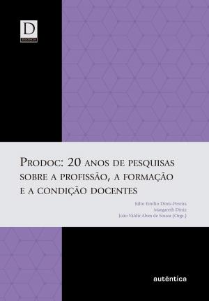 Cover of the book PRODOC: 20 anos de pesquisas sobre a profissão, a formação e a condição docentes by Inês Assunção de Castro Teixeira, José de Sousa Miguel Lopes