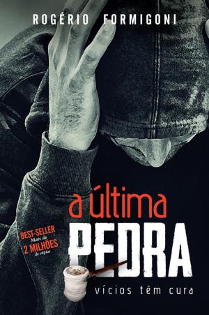 Cover of the book A última pedra by Damien Jackson, Aquilud Lobato, Paulo Sergio Rocha Junior, Camila Saldanha, Shirley Rodrigues