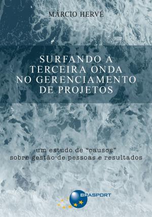 Cover of the book Surfando a Terceira Onda no Gerenciamento de Projetos by Eduardo Militão Elias
