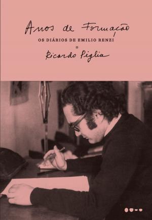 Cover of the book Anos de formação by Flavio Cafiero