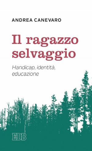Book cover of Il Ragazzo selvaggio