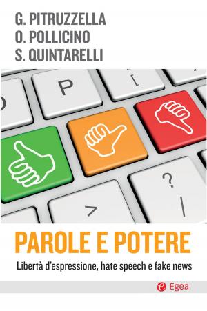 Cover of the book Parole e potere by Geert Lovink