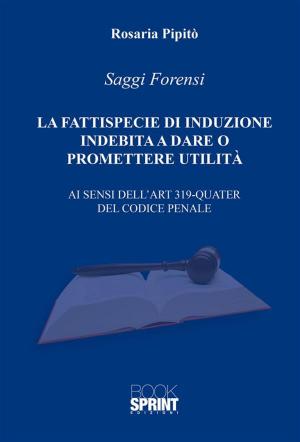 Cover of the book La Fattispecie di Induzione Indebita a dare o promettere utilità by Mario De Santis
