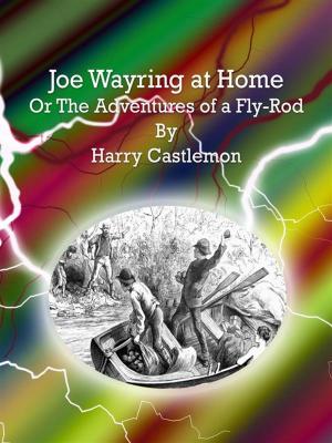 Book cover of Joe Wayring at Home