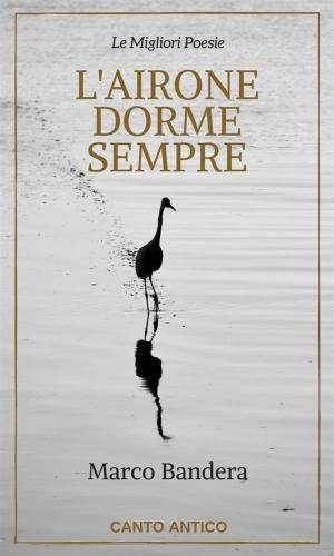 Cover of the book L'Airone dorme sempre by Barbara M Schwarz
