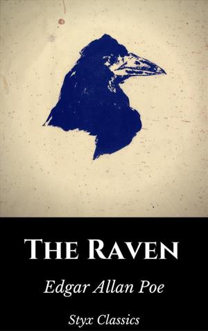 Cover of the book The Raven by Beth Brown