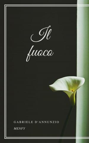 Cover of the book Il fuoco by Emilio Salgari