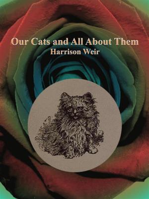 Cover of the book Our Cats and All About Them by Brian Nash