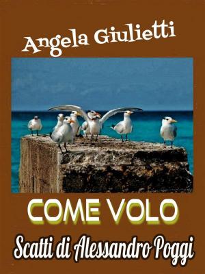 Cover of the book Come volo by Roni McFadden