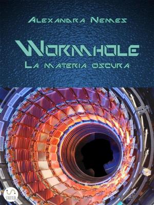 Cover of the book Wormhole by S.M. Fedor