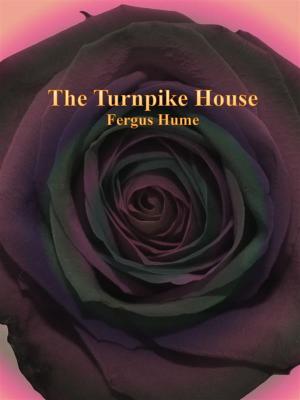 Cover of the book The Turnpike House by Delia Austrian