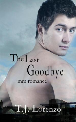 Cover of the book The Last Goodbye (MM Romance) by Selene Chardou, SE Chardou