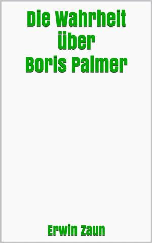 Cover of Die Wahrheit über Boris Palmer