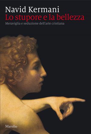Cover of the book Lo stupore e la bellezza by Carlo Coccioli, Walter Siti