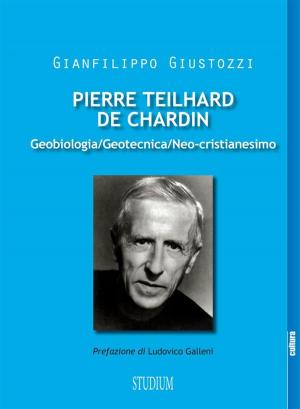 Cover of the book Pierre Teilhard de Chardin by Rocco Quaglia