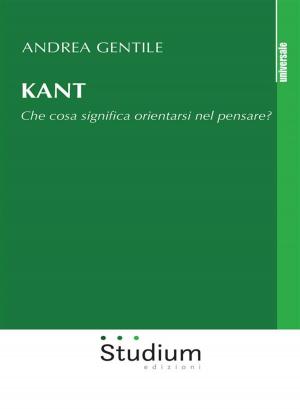 Cover of the book Kant by Francesco D'Agostino, Giorgio Del Vecchio