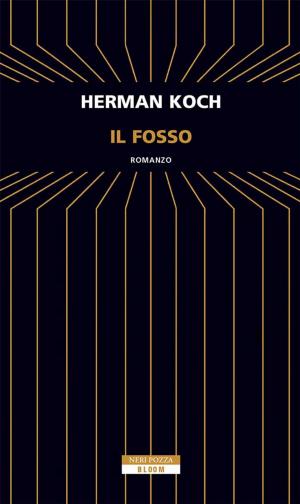 Cover of the book Il fosso by Helene Wecker
