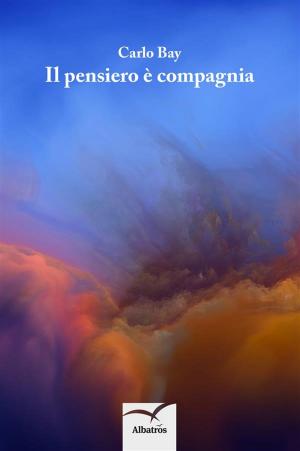 Cover of the book Il pensiero è compagnia by Nicola Saccomani