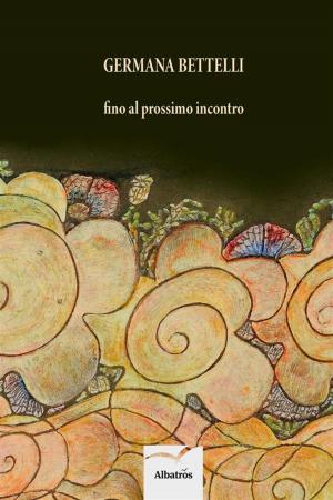 Cover of the book Fino al prossimo incontro by Silvia de Iudicibus