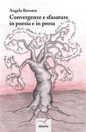 Cover of Convergenze e sfasature in poesia e in prosa