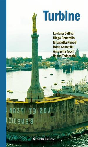 Book cover of Turbine 2017