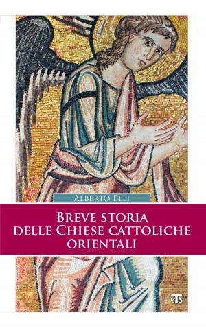 Cover of the book Breve storia delle Chiese cattoliche orientali (II Ed.) by Matteo Crimella
