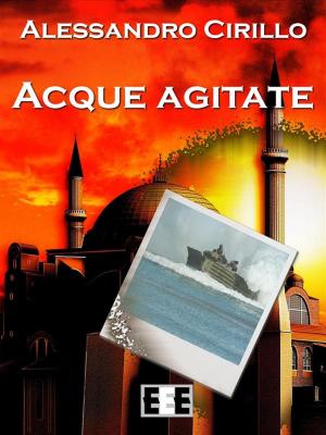 Book cover of Acque agitate