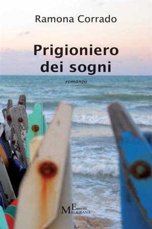 Cover of the book Prigioniero dei sogni by Paola Pittalis