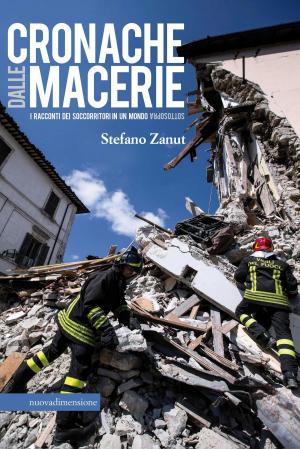 Cover of Cronache dalle macerie