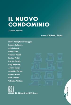 Cover of the book Il nuovo condominio by David Benedetti, Miriam Del Pace, Denis De Sanctis