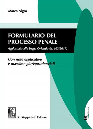 Cover of the book Formulario del processo penale by Simone Lonati