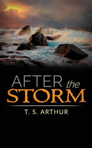 Cover of the book After the Storm by DR. R. A. Richardson