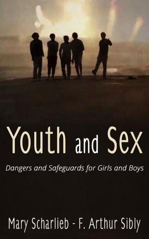 bigCover of the book Youth and Sex: Dangers and Safeguards for Girls and Boys by 