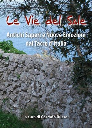 Cover of the book Le Vie del sale by SONIA SALERNO