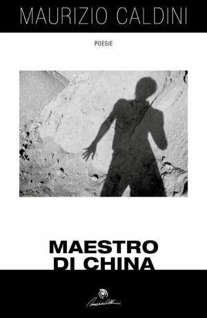 Cover of the book Maestro di China by Antonio Di Gilio