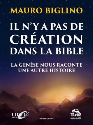 Cover of the book Il n'y a pas de création dans la Bible by Lynne Mctaggart