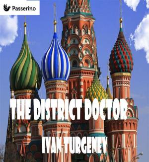 Cover of the book The District Doctor by San Benedetto