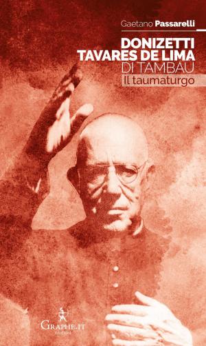 Cover of the book Donizetti Tavares de Lima di Tambaú by Gianluca Orsola