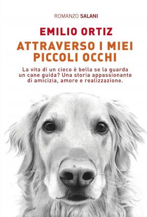 Cover of the book Attraverso i miei piccoli occhi by Jie Zhang