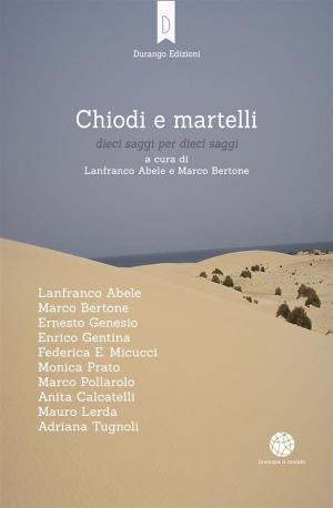 Cover of the book Chiodi e martelli by Ana Maria Haddad Baptista