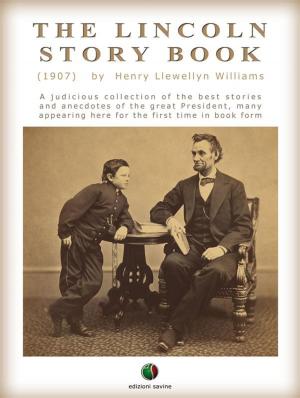 Book cover of THE LINCOLN STORY BOOK: A judicious collection of the best stories and anecdotes of the great President, many appearing here for the first time in book form