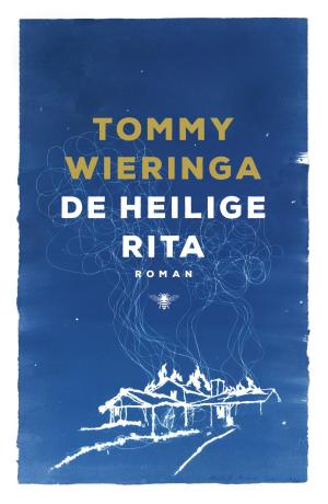 Cover of the book De heilige Rita by Marten Toonder
