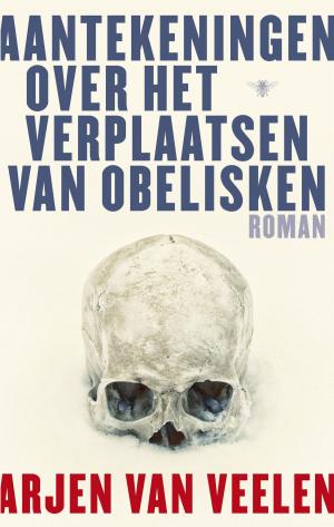 Cover of the book Aantekeningen over het verplaatsen van obelisken by Kees van Kooten