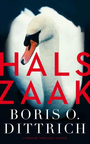 Cover of the book Halszaak by Maarten Meijer