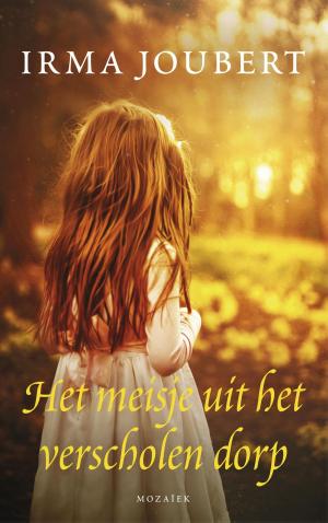 Cover of the book Het meisje uit het verscholen dorp by Gerda van Wageningen