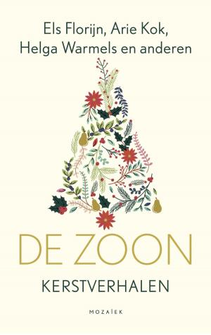 Cover of the book De Zoon by Marja Visscher