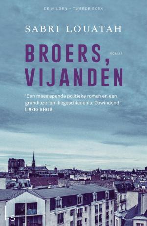 Cover of the book Broers, vijanden by Marie Laberge