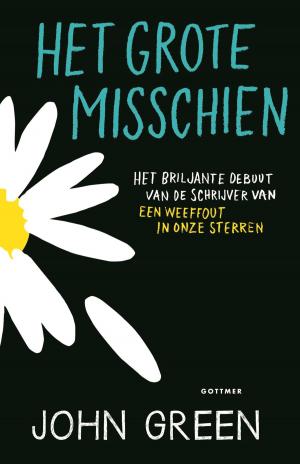 Cover of the book Het grote misschien by Aljoscha Schwarz, Ronald Schweppe