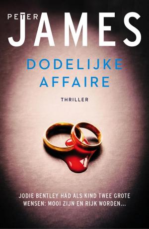 Cover of the book Dodelijke affaire by Henny Thijssing-Boer