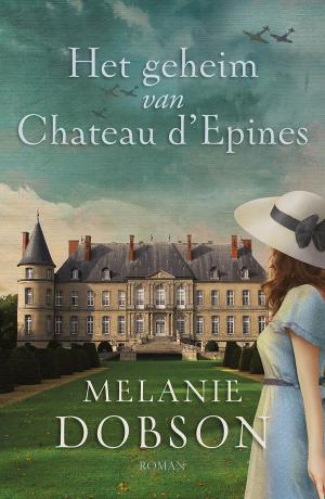 Cover of the book Het geheim van Chateau d´Epines by Henny Thijssing-Boer